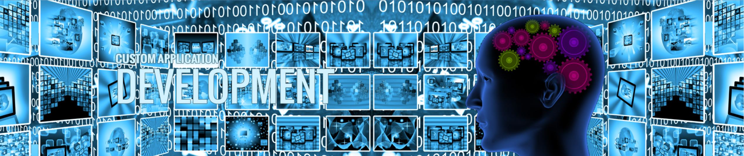 Custom-Application-Development